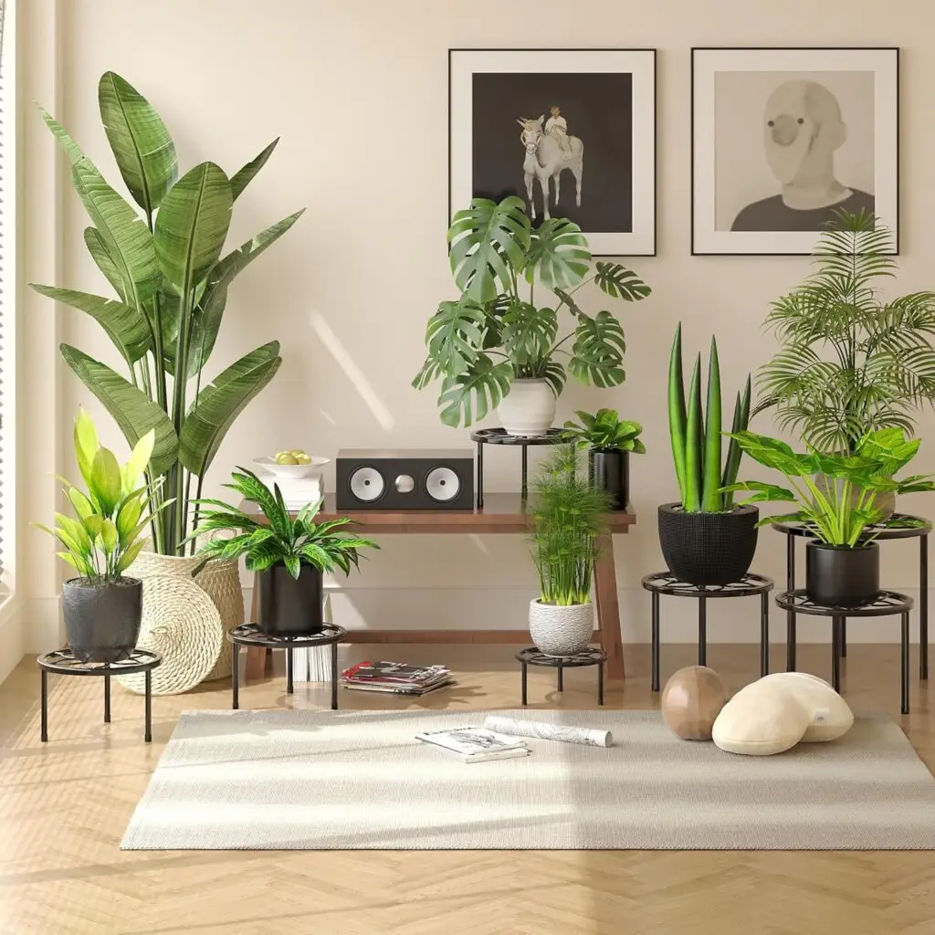 Live Plants