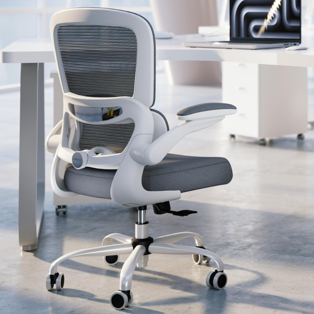 Ergonomic Desk Chair